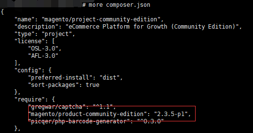Magento composer.json查看版本号(composer安装)